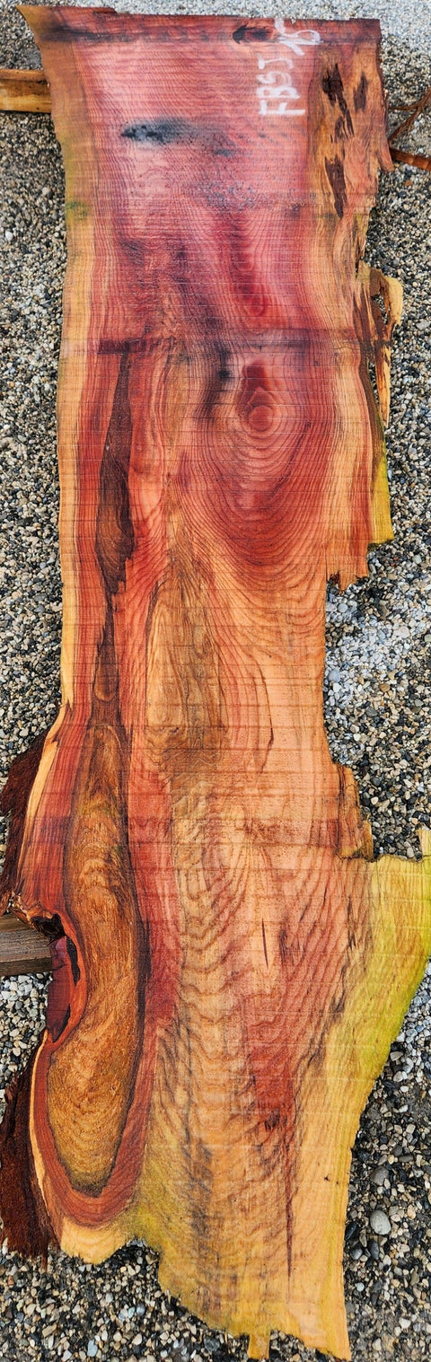 Séquoia de Californie - FBSJ 15 - Mon plateau de bois