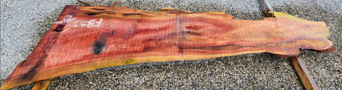Séquoia de Californie - FBSJ 15 - Mon plateau de bois