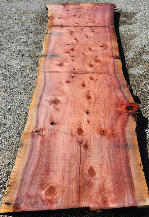 Séquoia de Californie - FBSJ 4 - Mon plateau de bois
