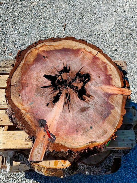 Séquoia de Californie - RS 1-1 - Mon plateau de bois